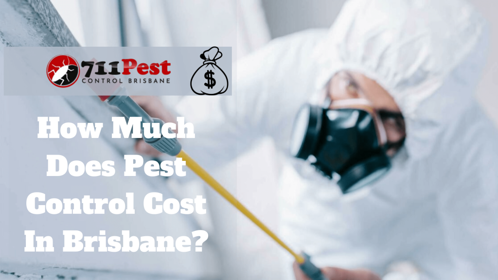 Pest Control Brisbane Price