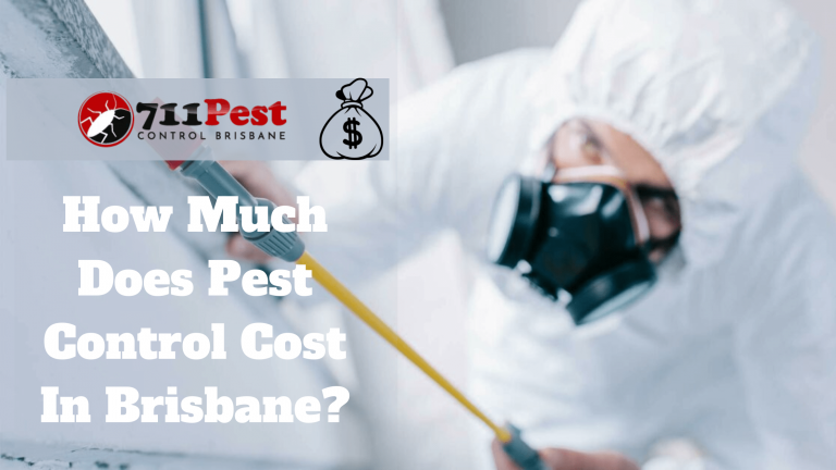 How Much Does Pest Control Cost In Brisbane